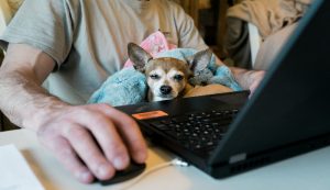 A man with a laptop and puppy on his lap